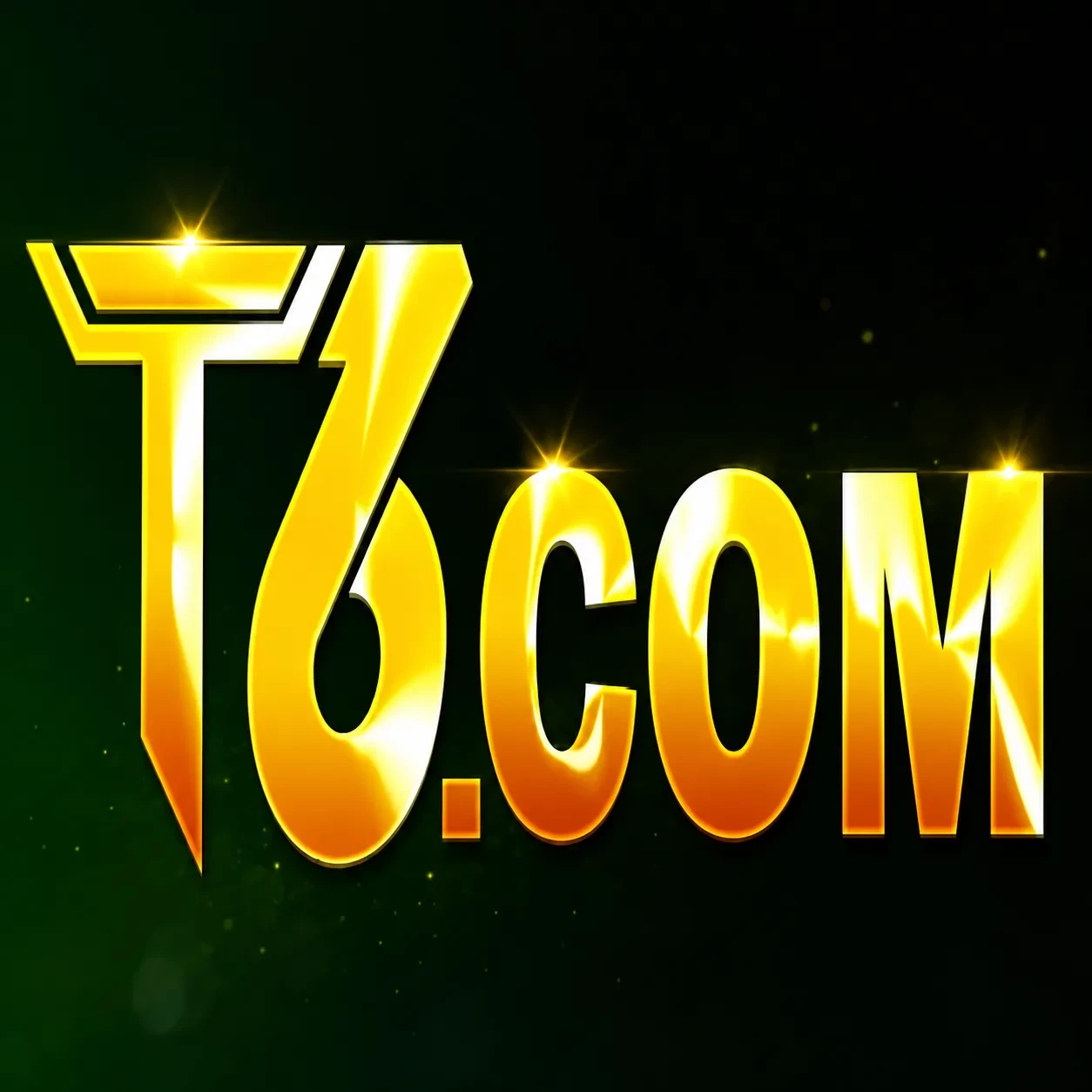 T6 2739